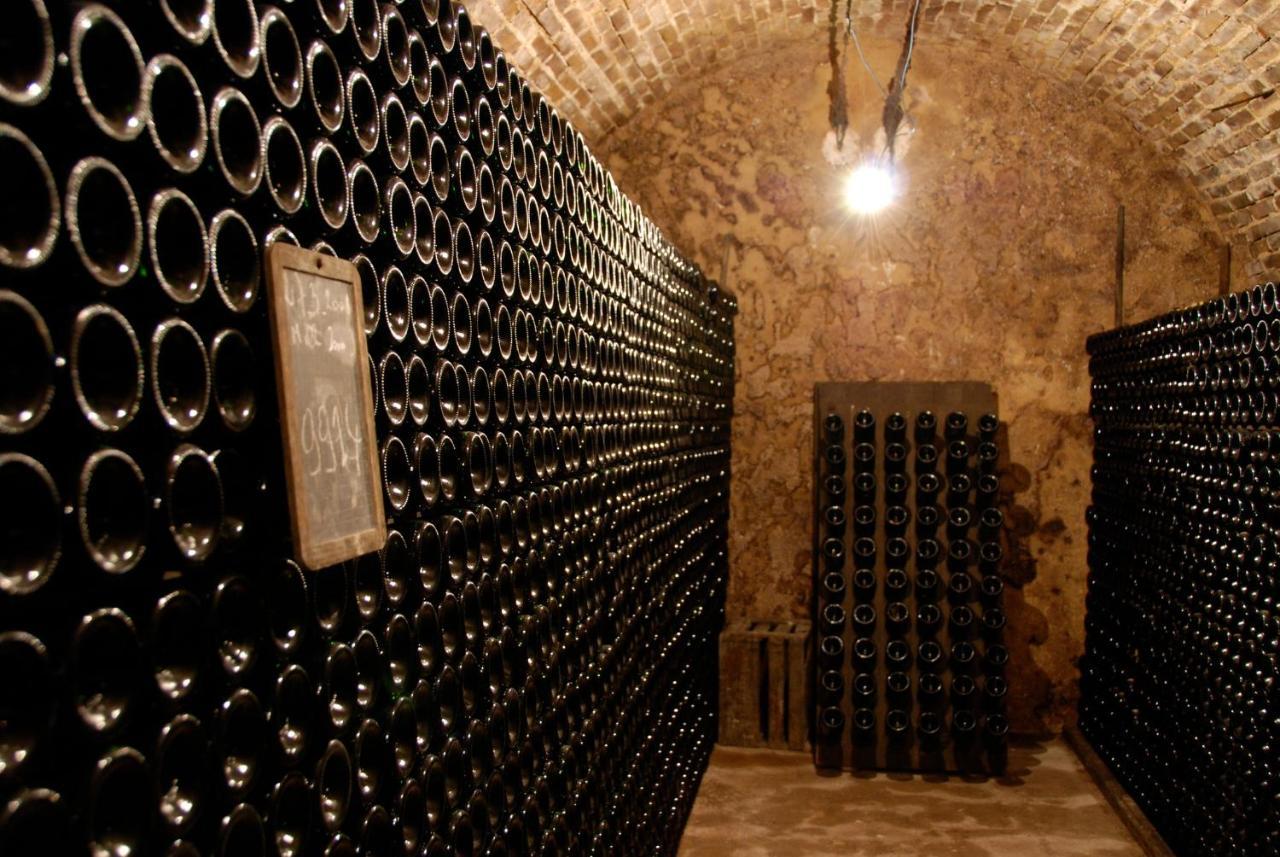 Le Cocon Appartement Proche Epernay Et Maisons De Champagne Ay-Champagne Eksteriør billede
