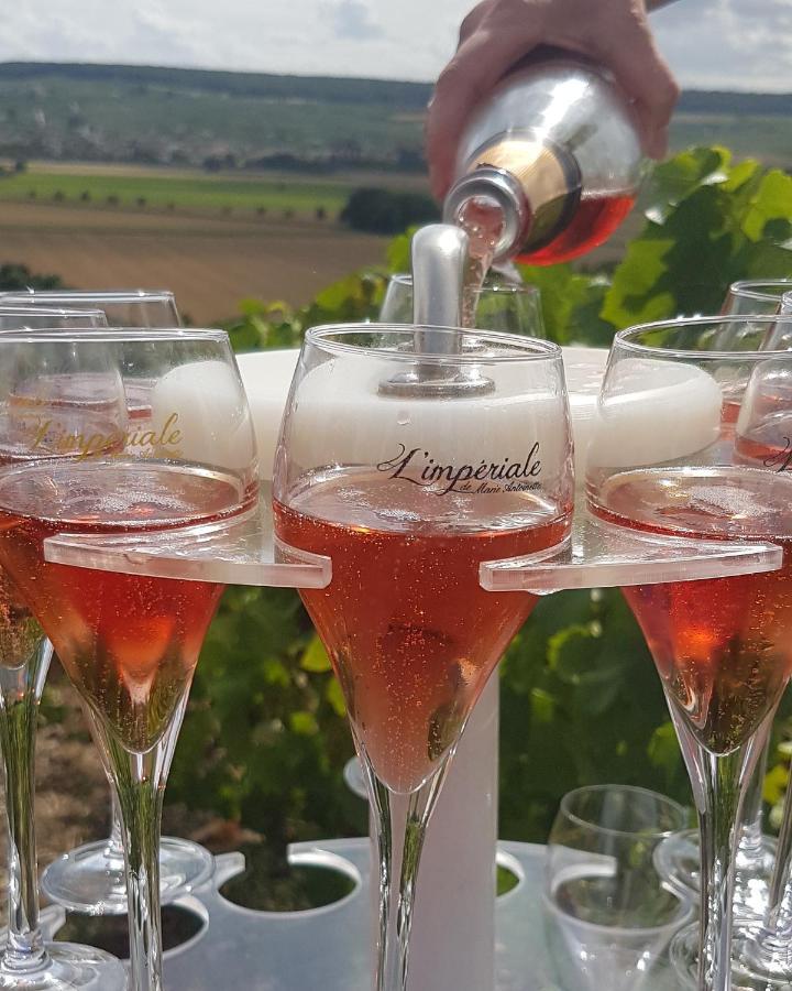 Le Cocon Appartement Proche Epernay Et Maisons De Champagne Ay-Champagne Eksteriør billede